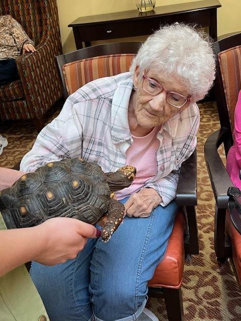 473618145 1138263381412543 8079279651743868702 N