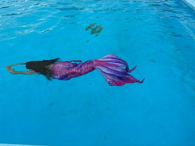 486228942 1222988219392427 3594977668308352851 N